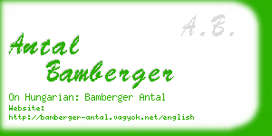 antal bamberger business card